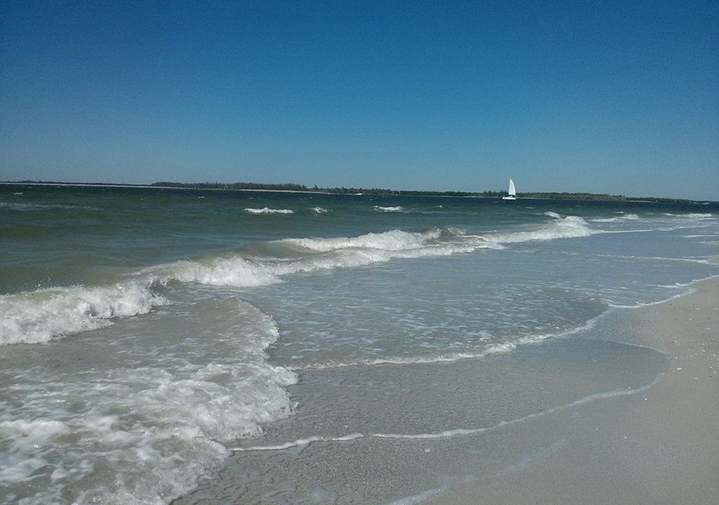 Photo of Others in Marco Island