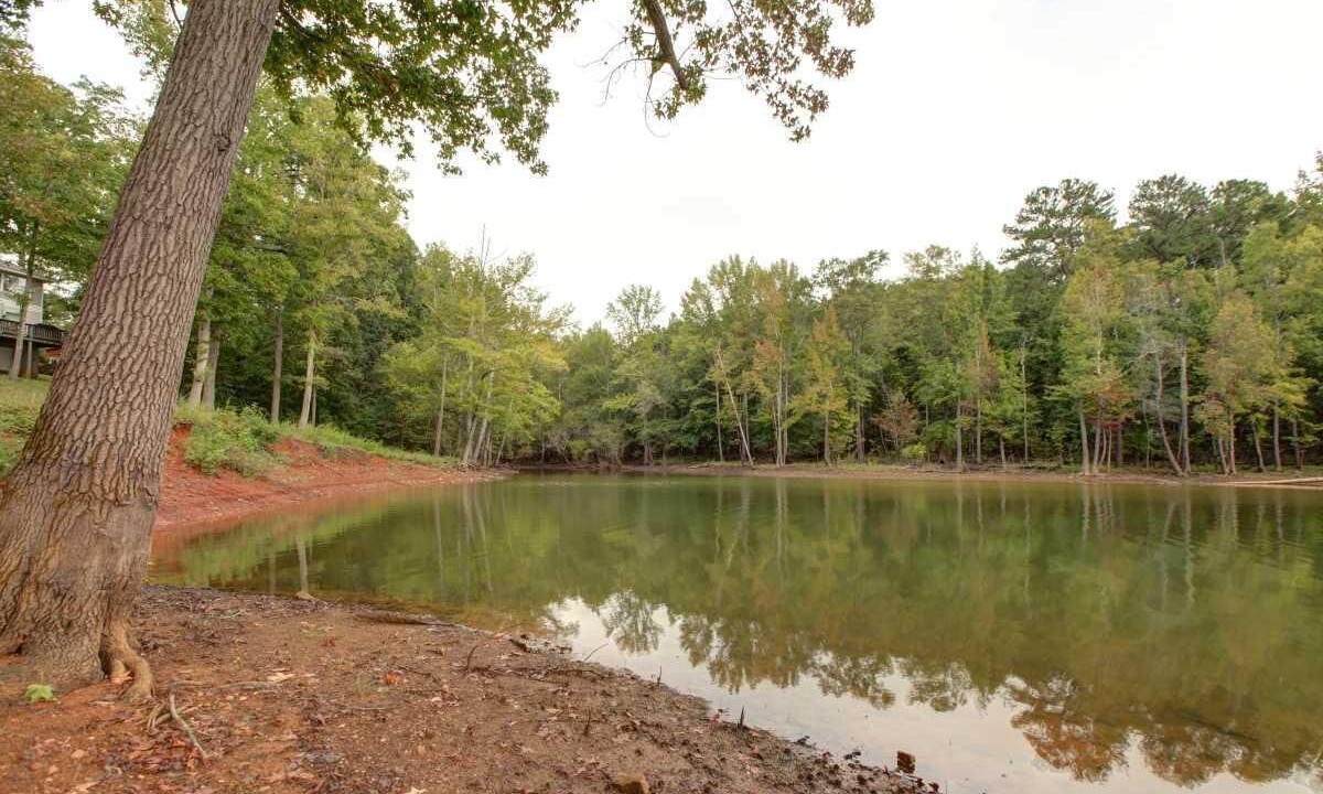 Photo of Others in Clarksville