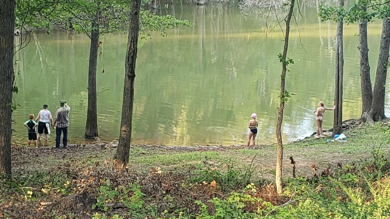 Photo of Others in Clarksville