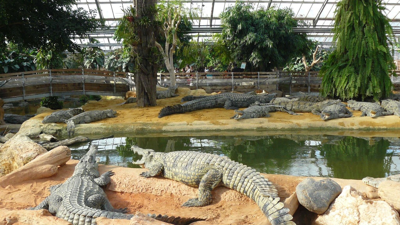 Photo of Outdoor in Gizay