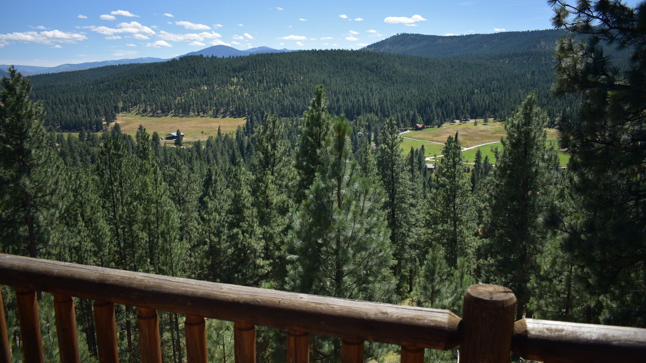 Photo of Others in Darby