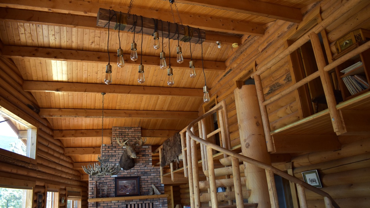 Photo of Others in Darby