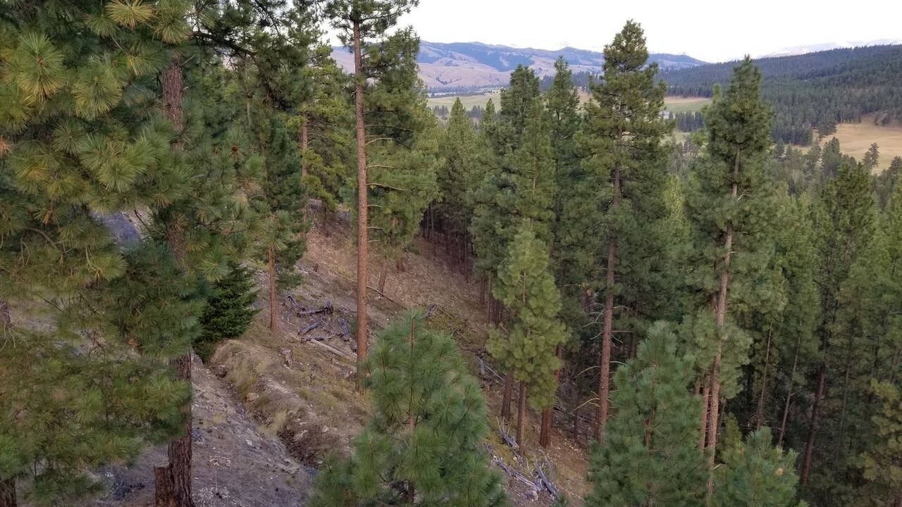 Photo of Outdoor in Darby