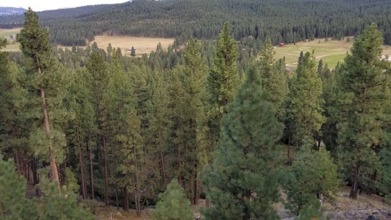 Photo of Outdoor in Darby