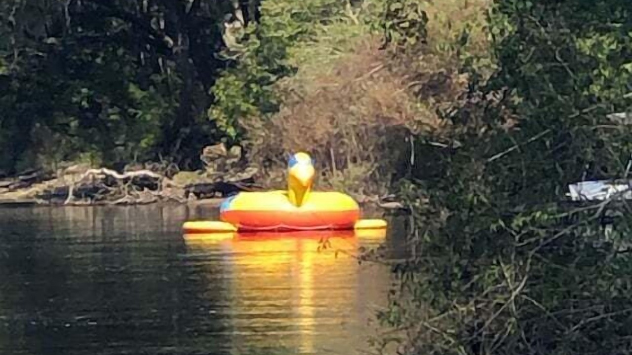 Photo of Others in Branford