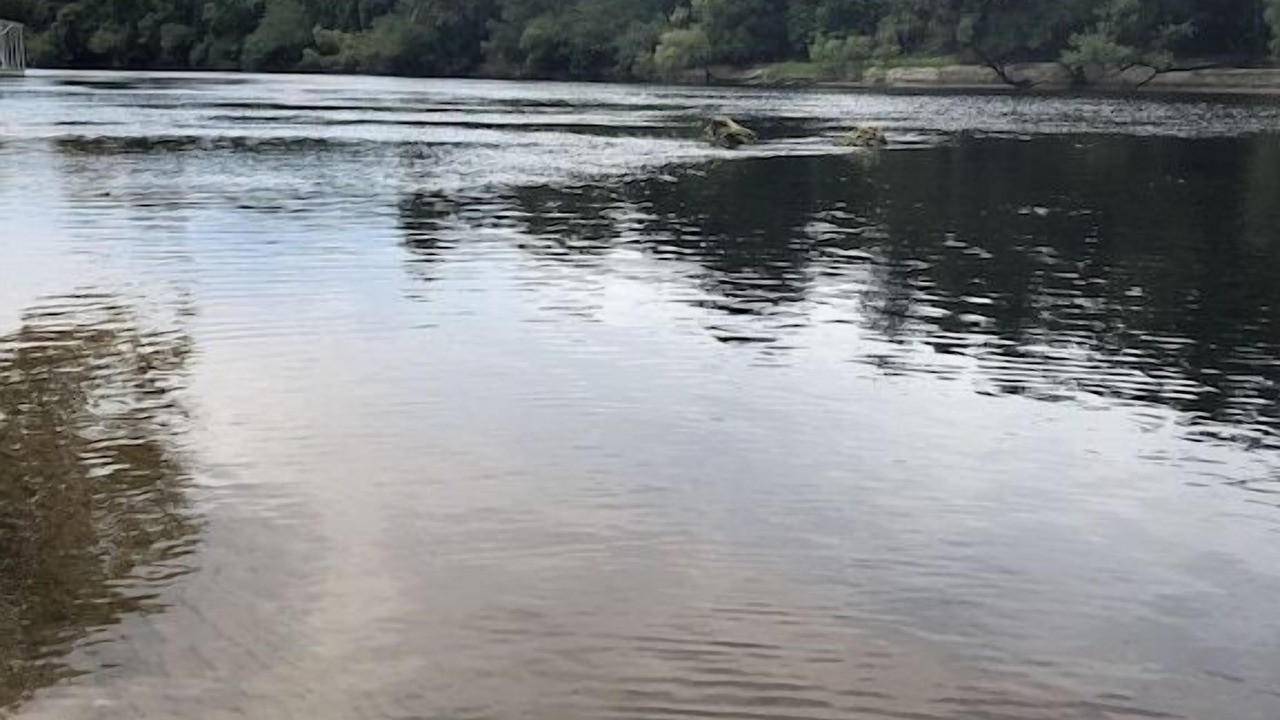 Photo of Others in Branford