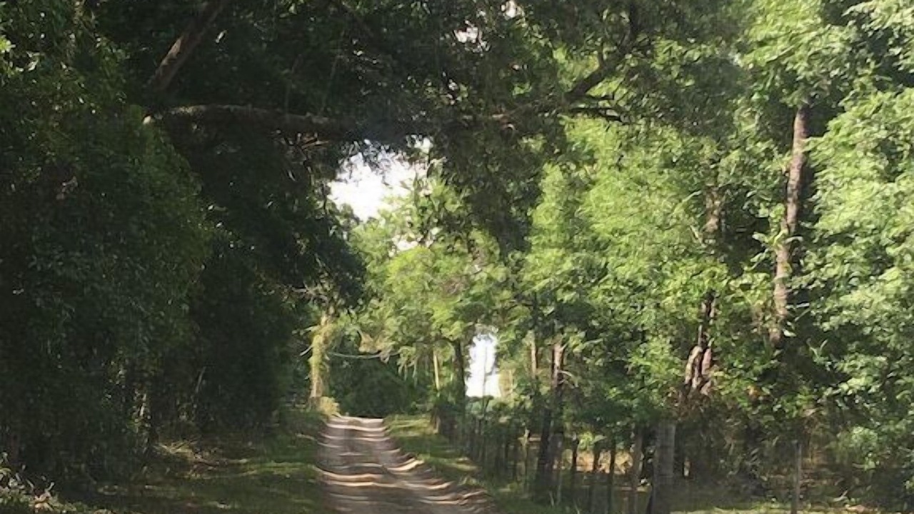 Photo of Others in Branford