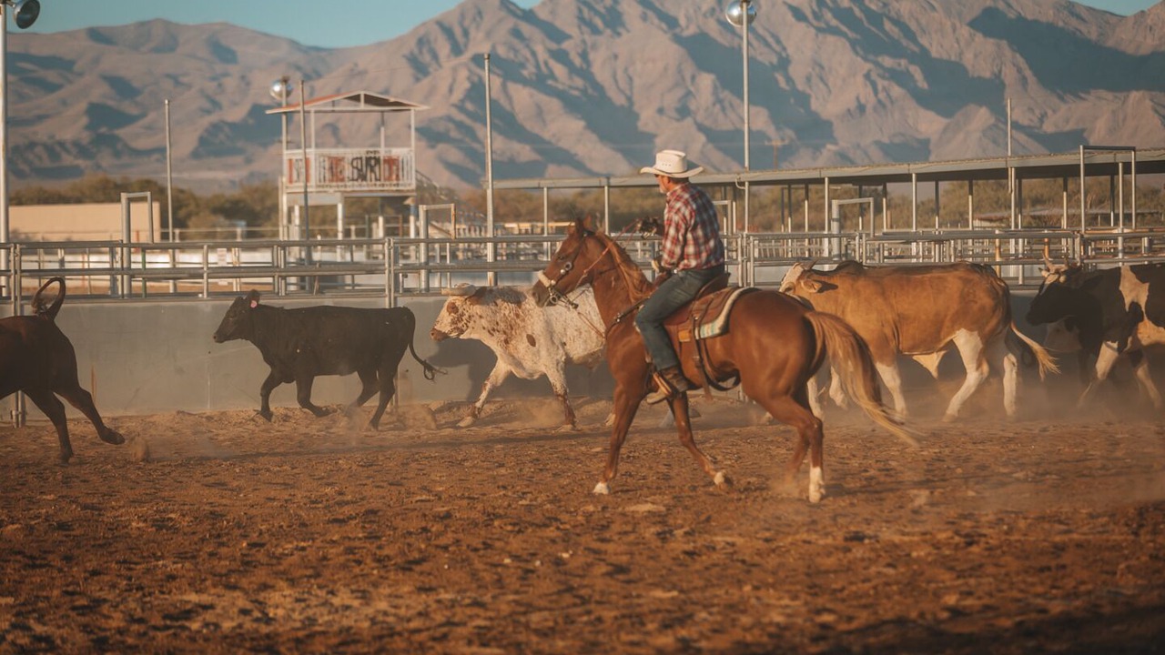 Photo of Others in Sandy Valley