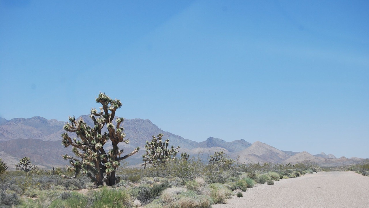 Photo of Outdoor in Sandy Valley