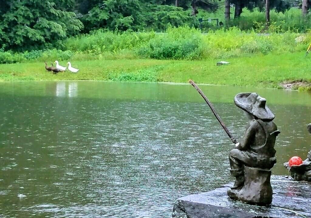 Photo of Others in Fleischmanns