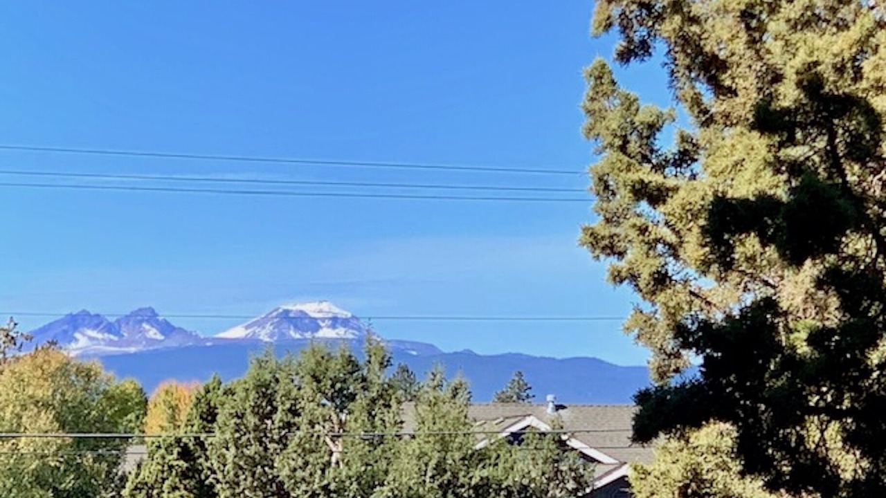 Photo of Others in Larkspur