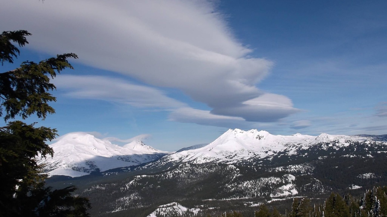 Photo of Others in Larkspur