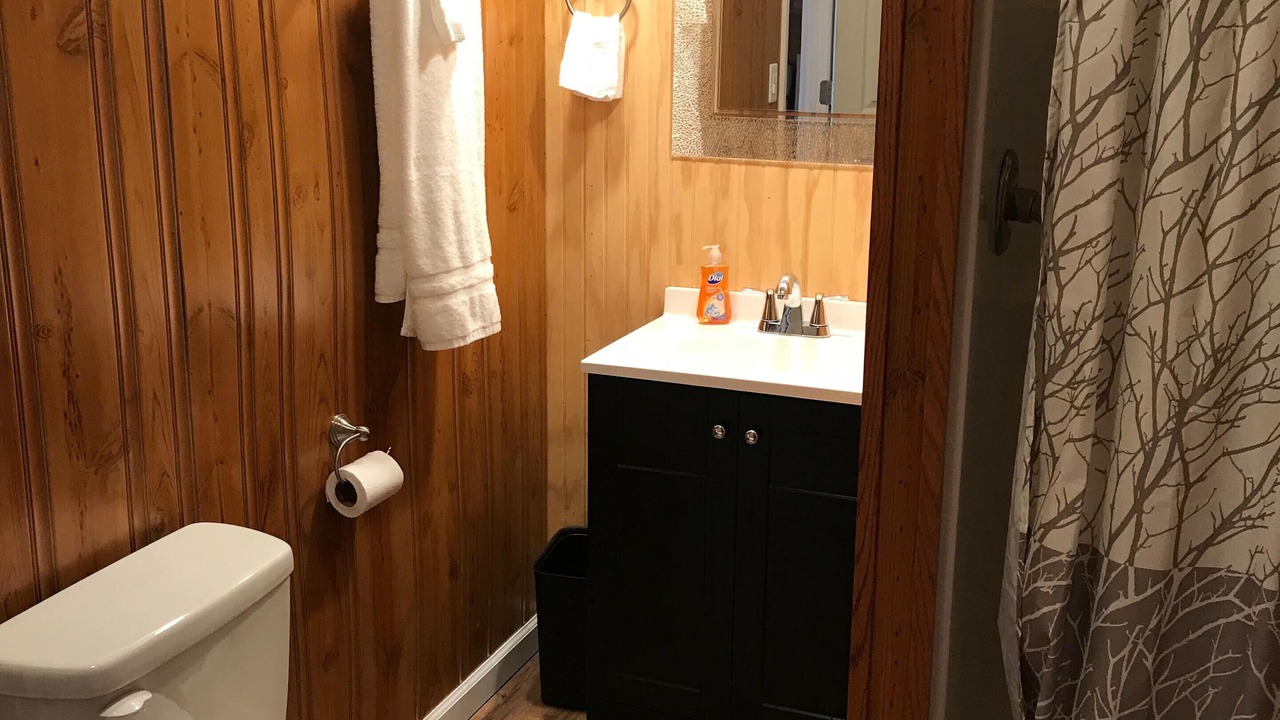 Photo of Bathroom in Waynesville