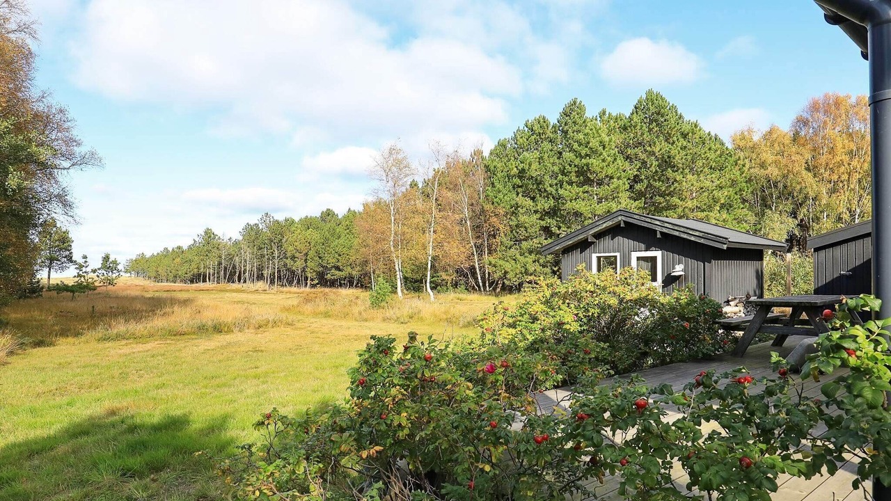 Photo of Others in Læsø