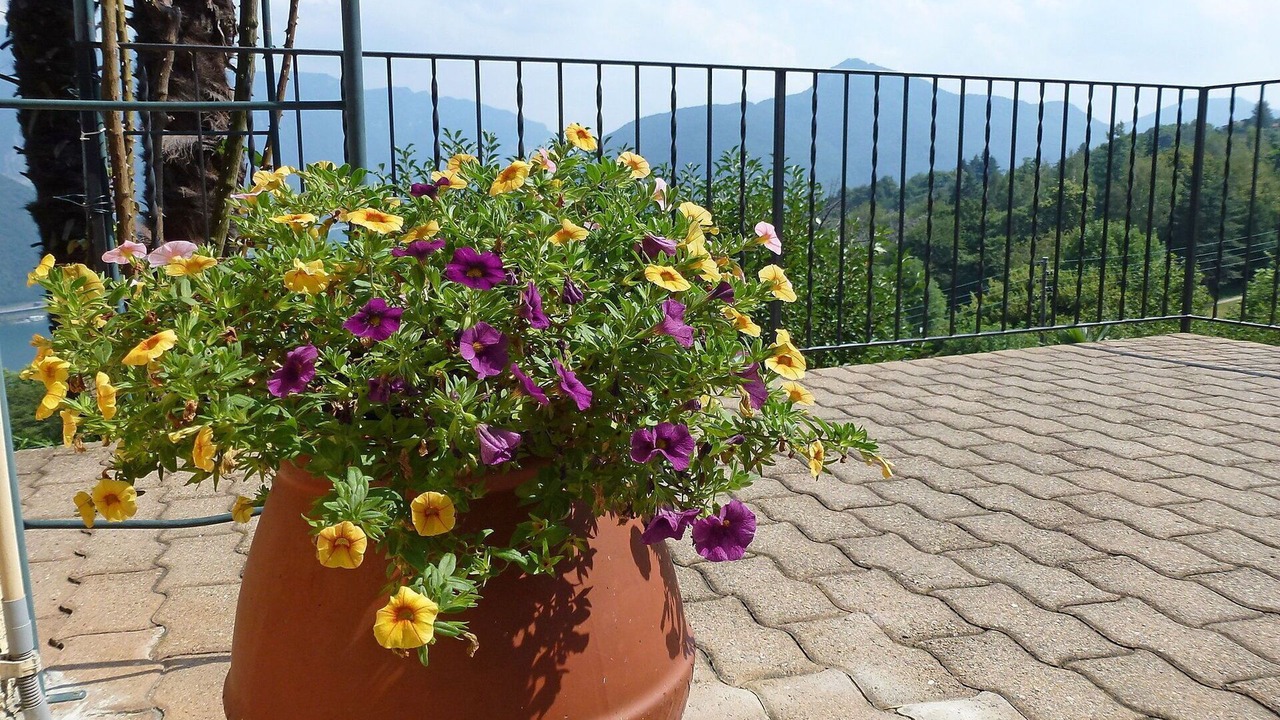 Photo of Outdoor in Carona