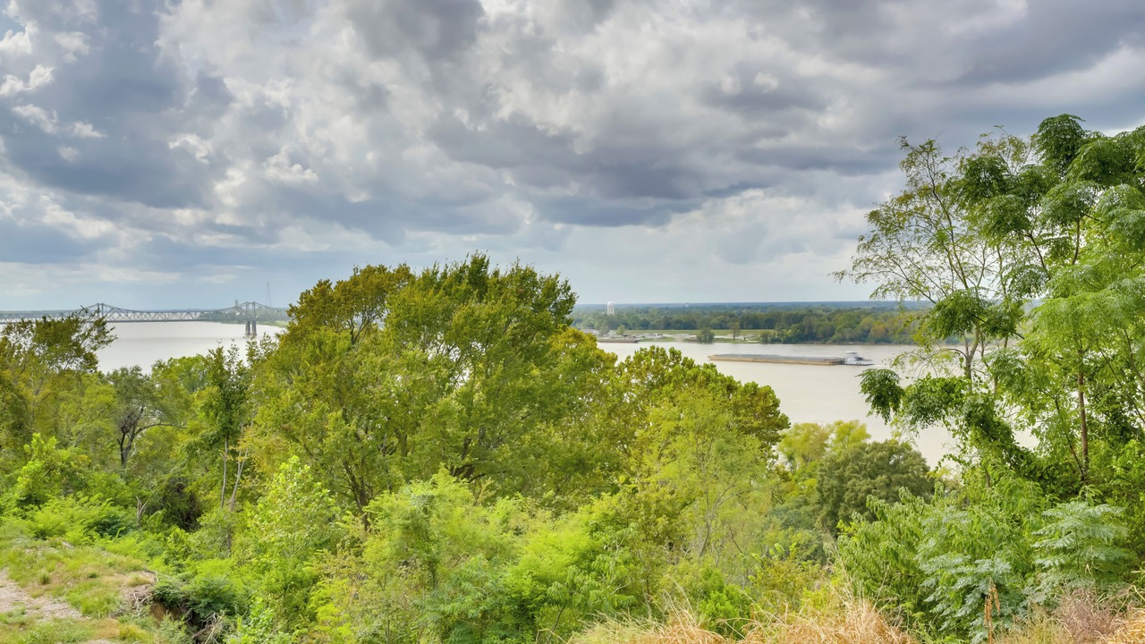 Photo of Others in Natchez