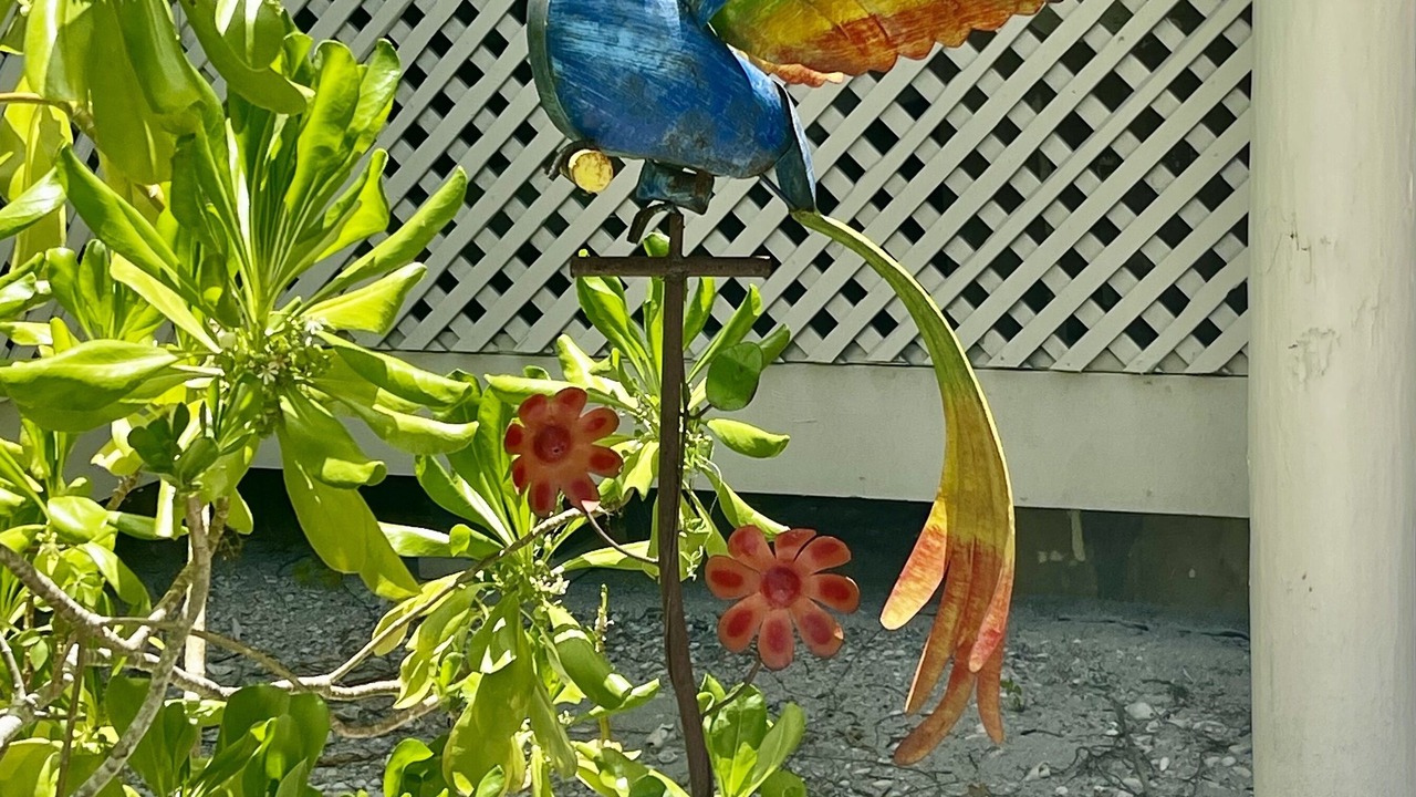 Photo of Outdoor in Placida