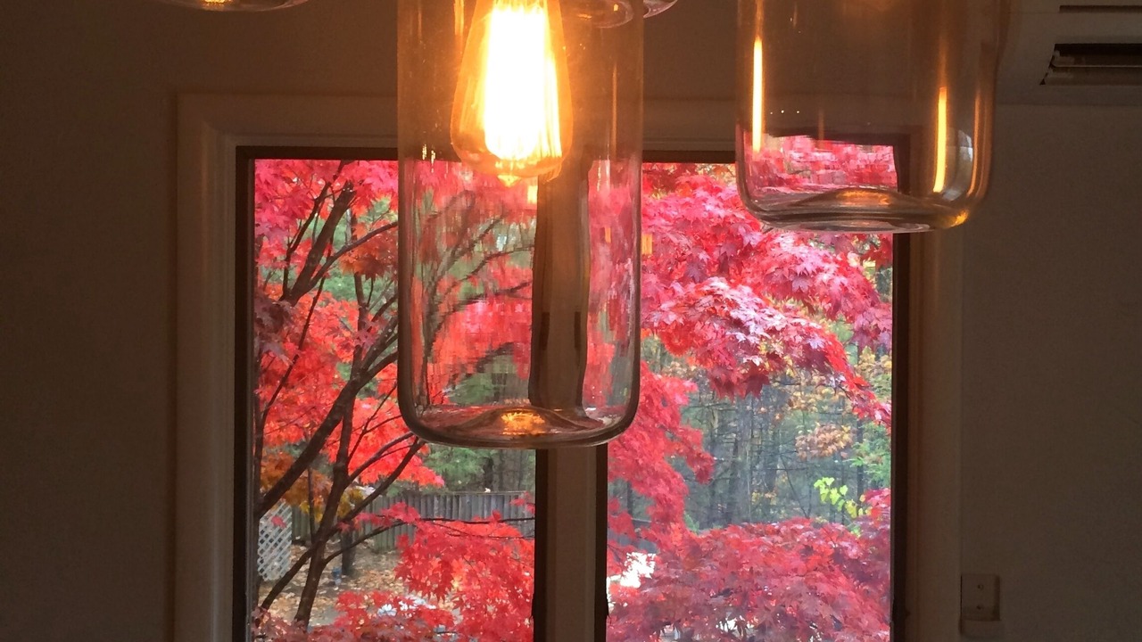 Photo of Others in Glenford