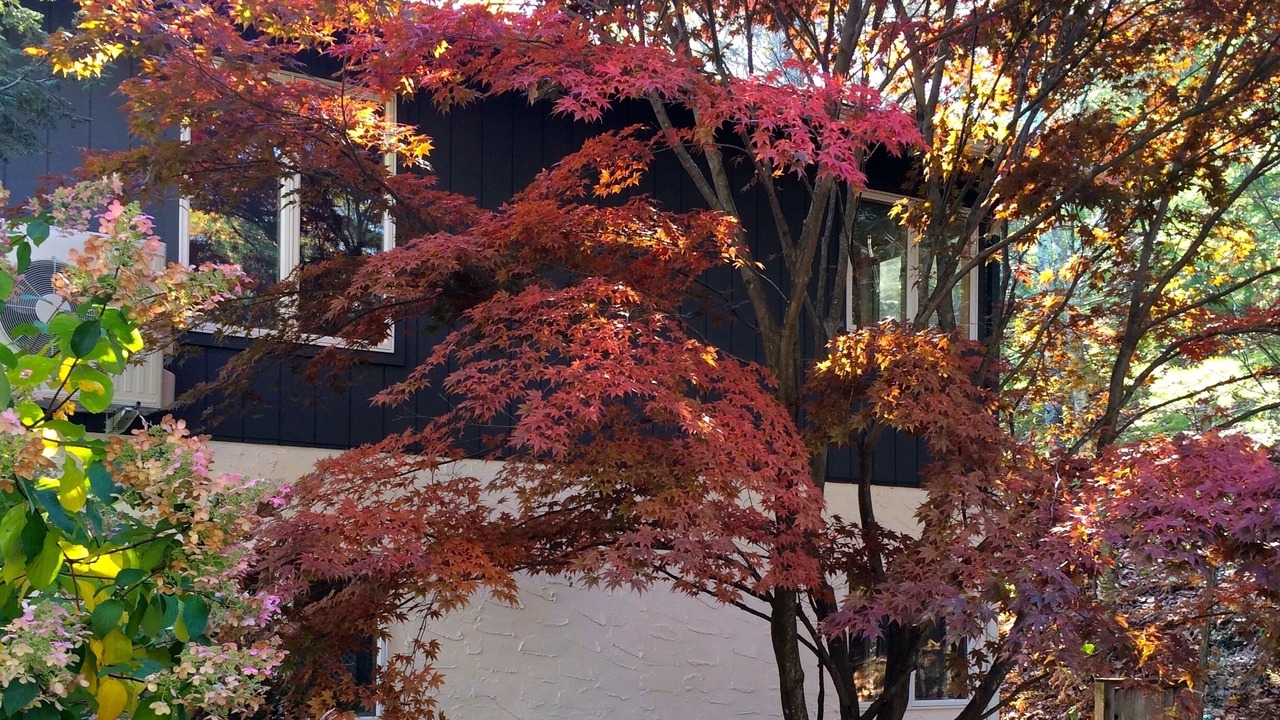 Photo of Outdoor in Glenford