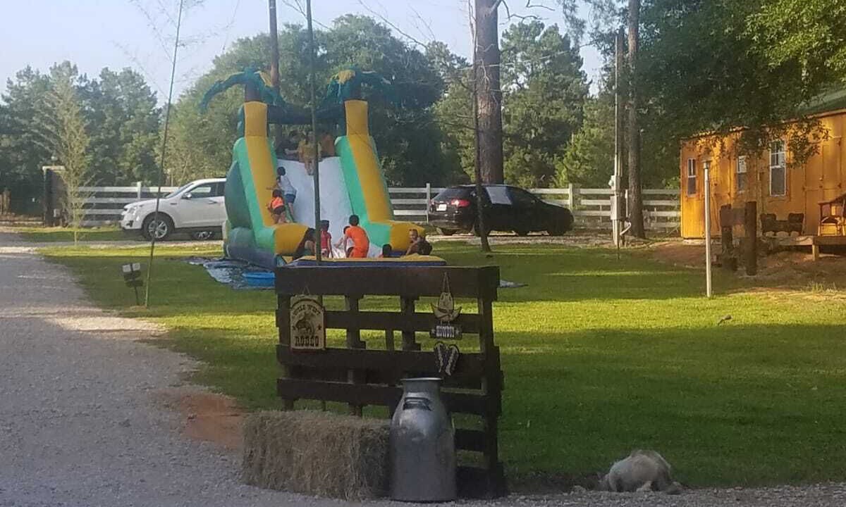 Photo of Outdoor in Willis
