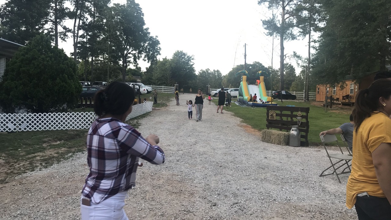 Photo of Outdoor in Willis