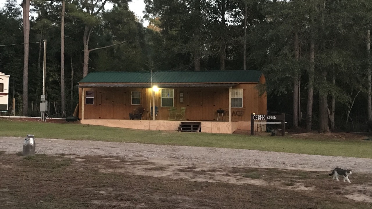 Photo of Outdoor in Willis