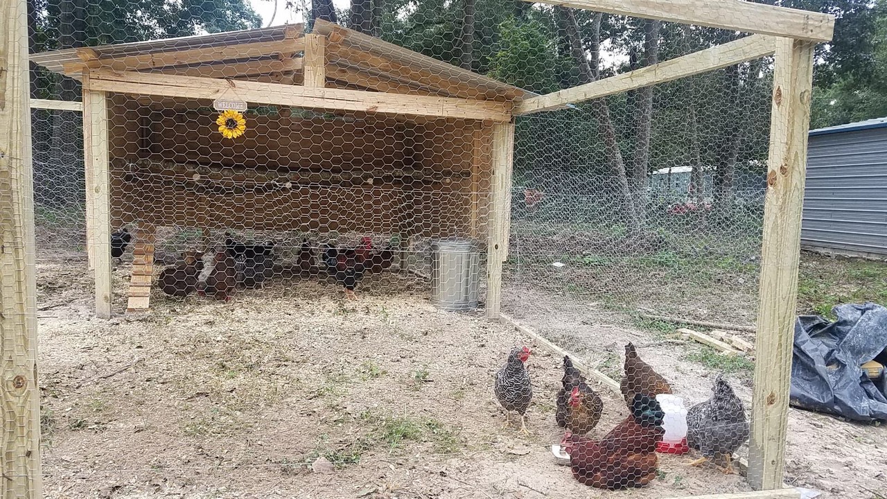 Photo of Outdoor in Willis
