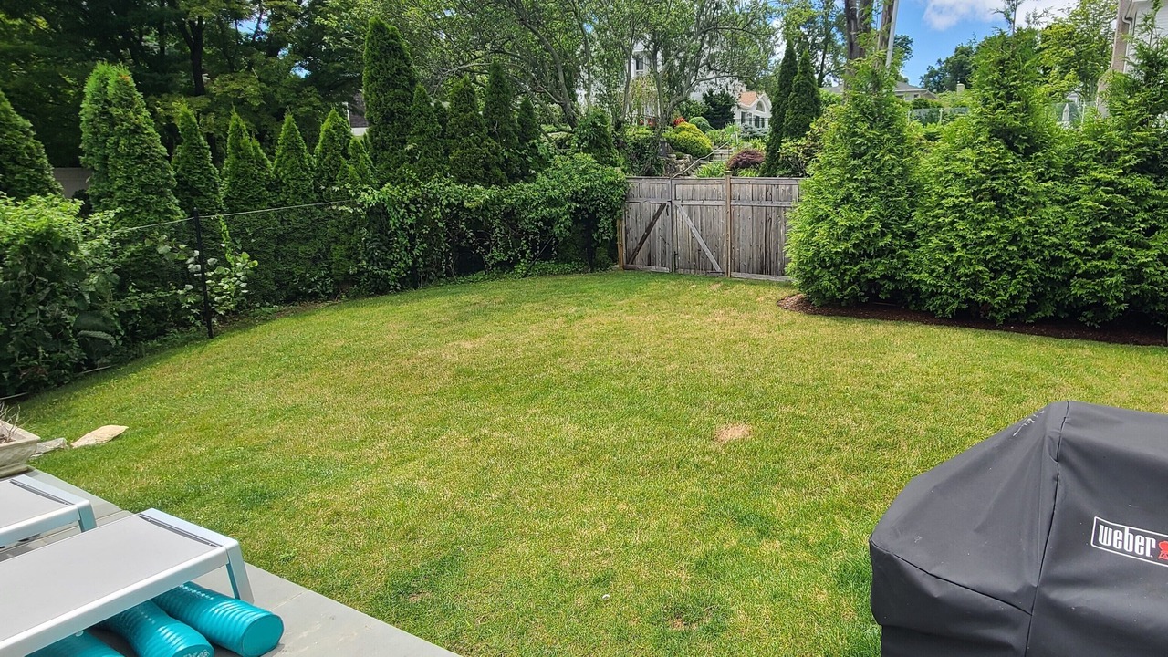 Photo of Others in Westport