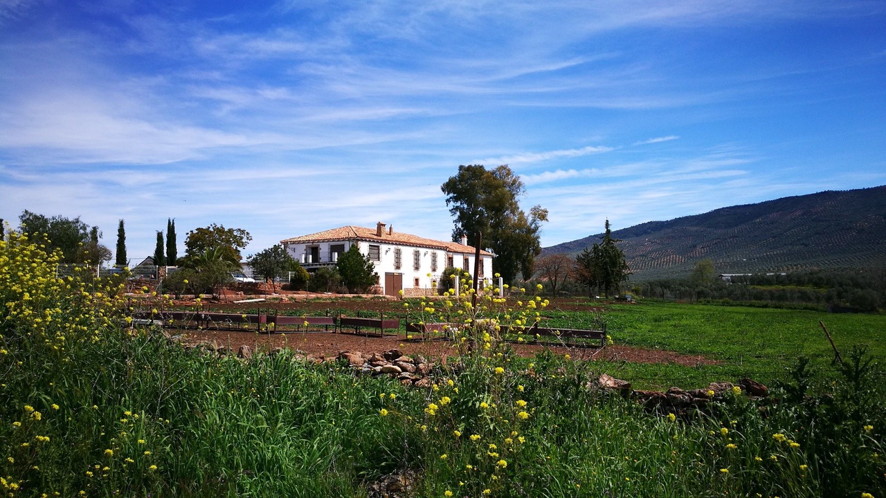 Photo of Outdoor in Vilches