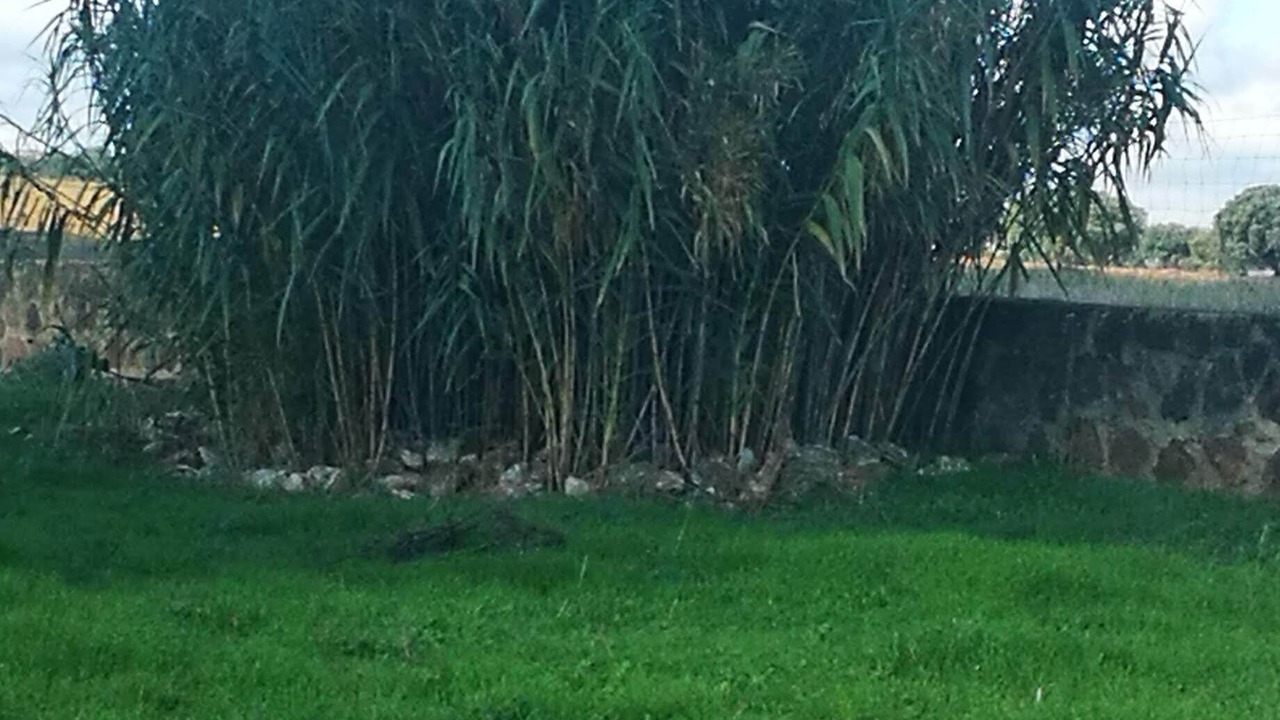 Photo of Outdoor in Vilches