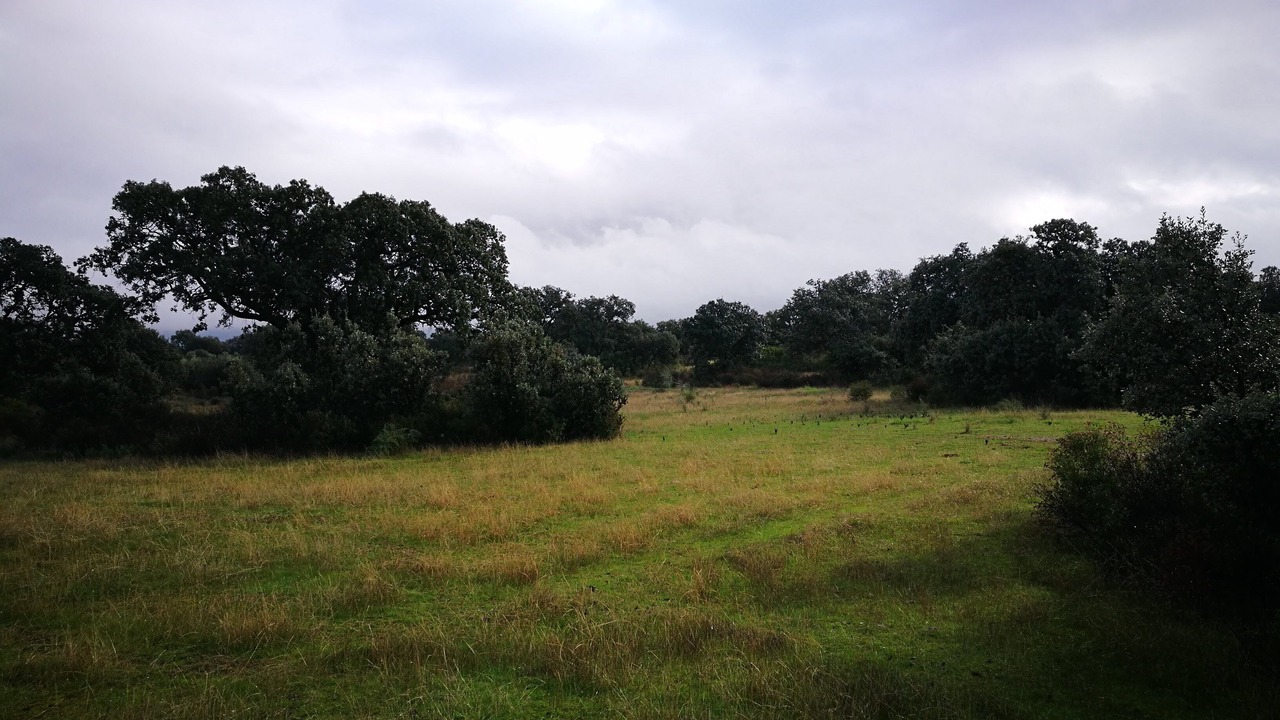 Photo of Outdoor in Vilches