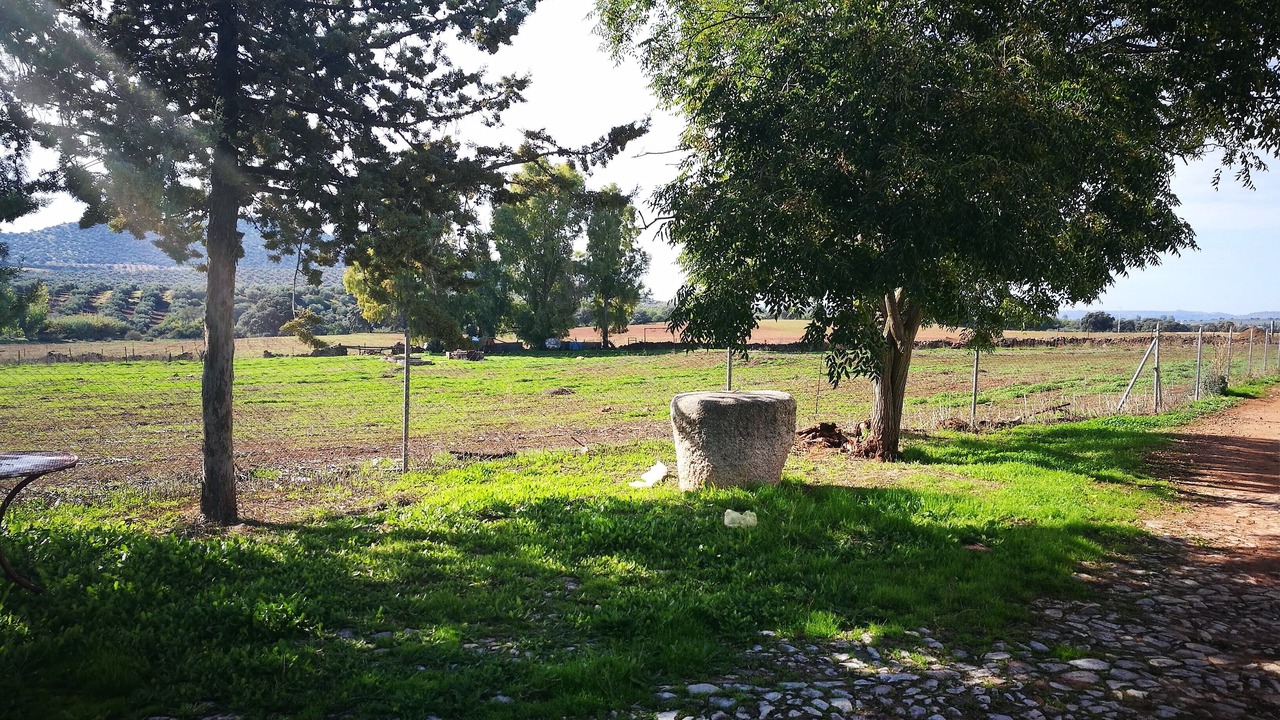 Photo of Outdoor in Vilches