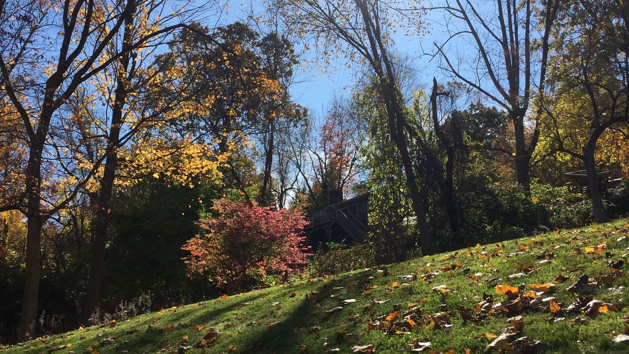 Photo of Outdoor in Brookfield