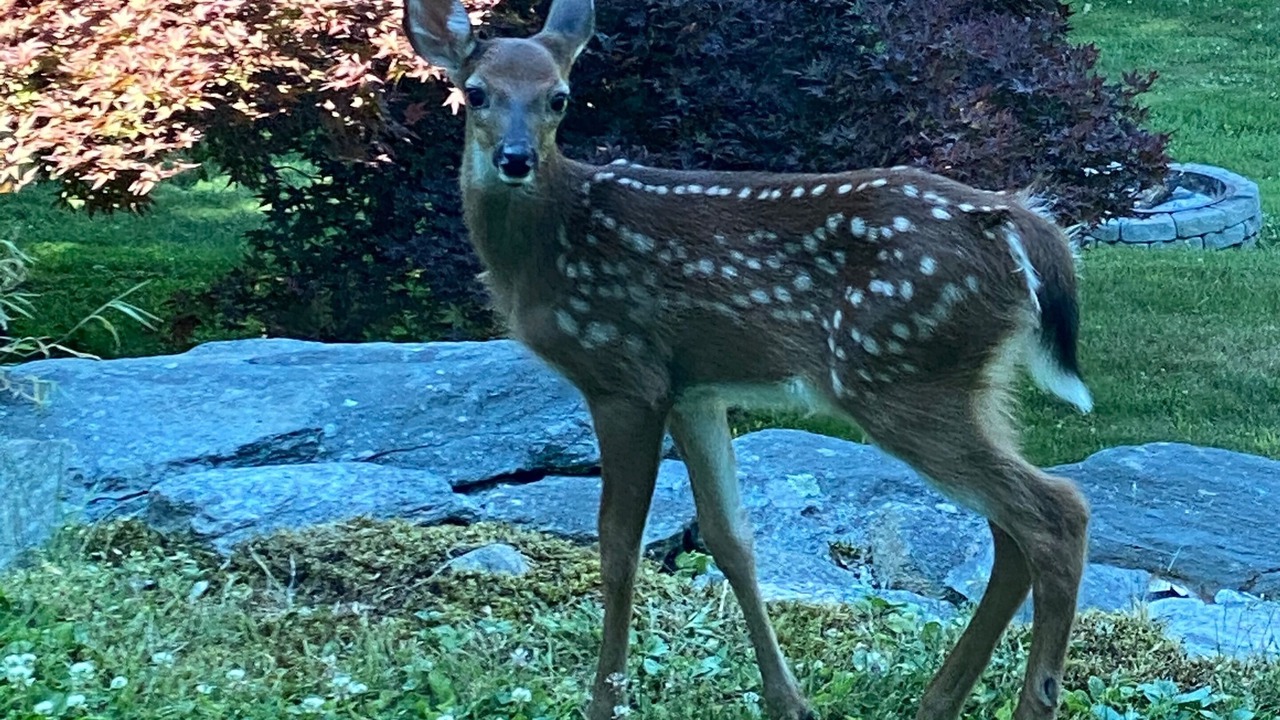 Photo of Outdoor in Brookfield