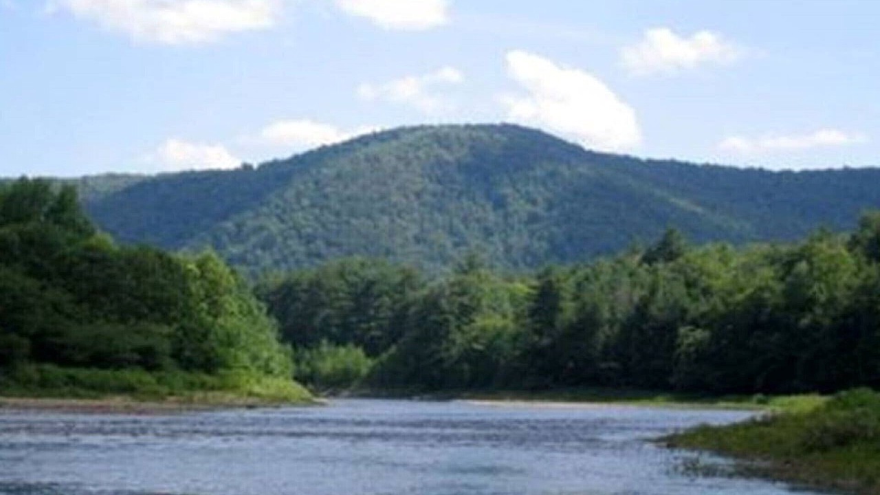 Photo of Others in Town of Benson