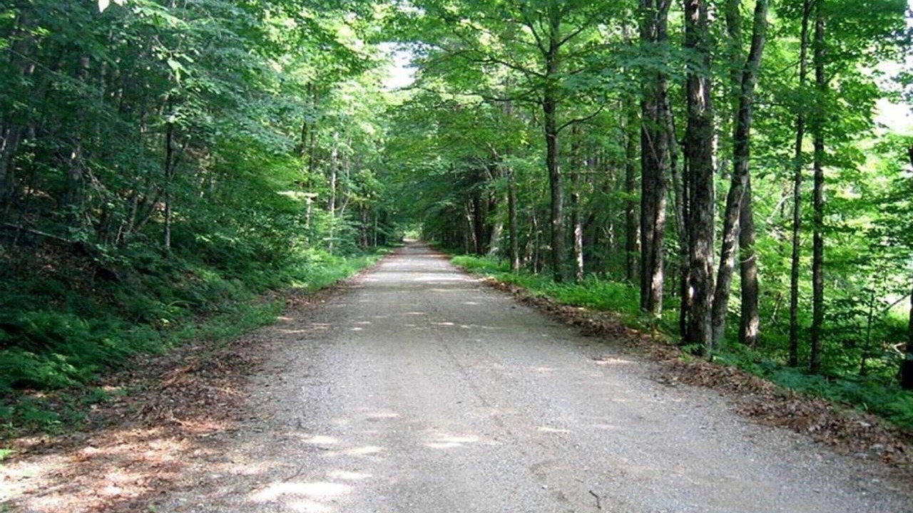 Photo of Others in Town of Benson