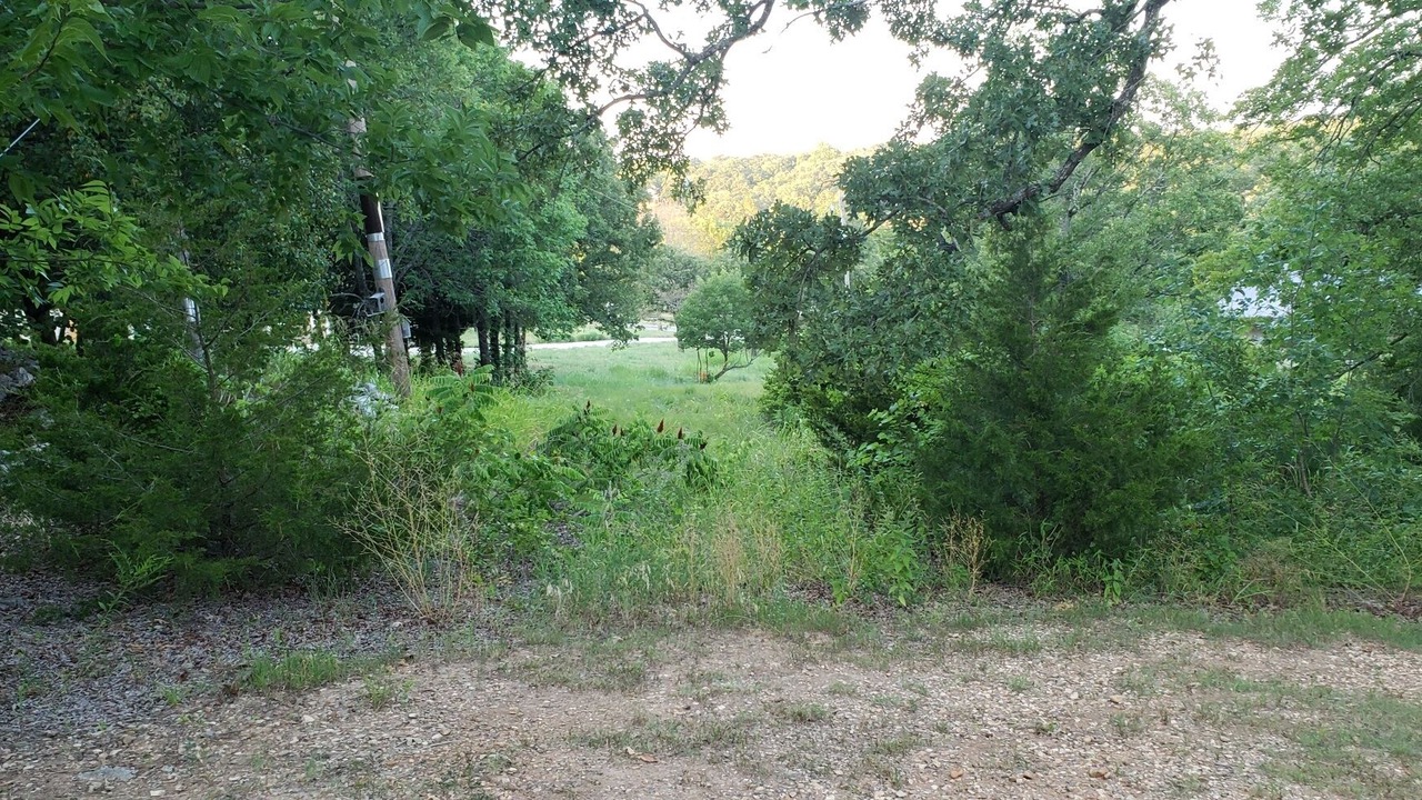 Photo of Outdoor in Sulphur