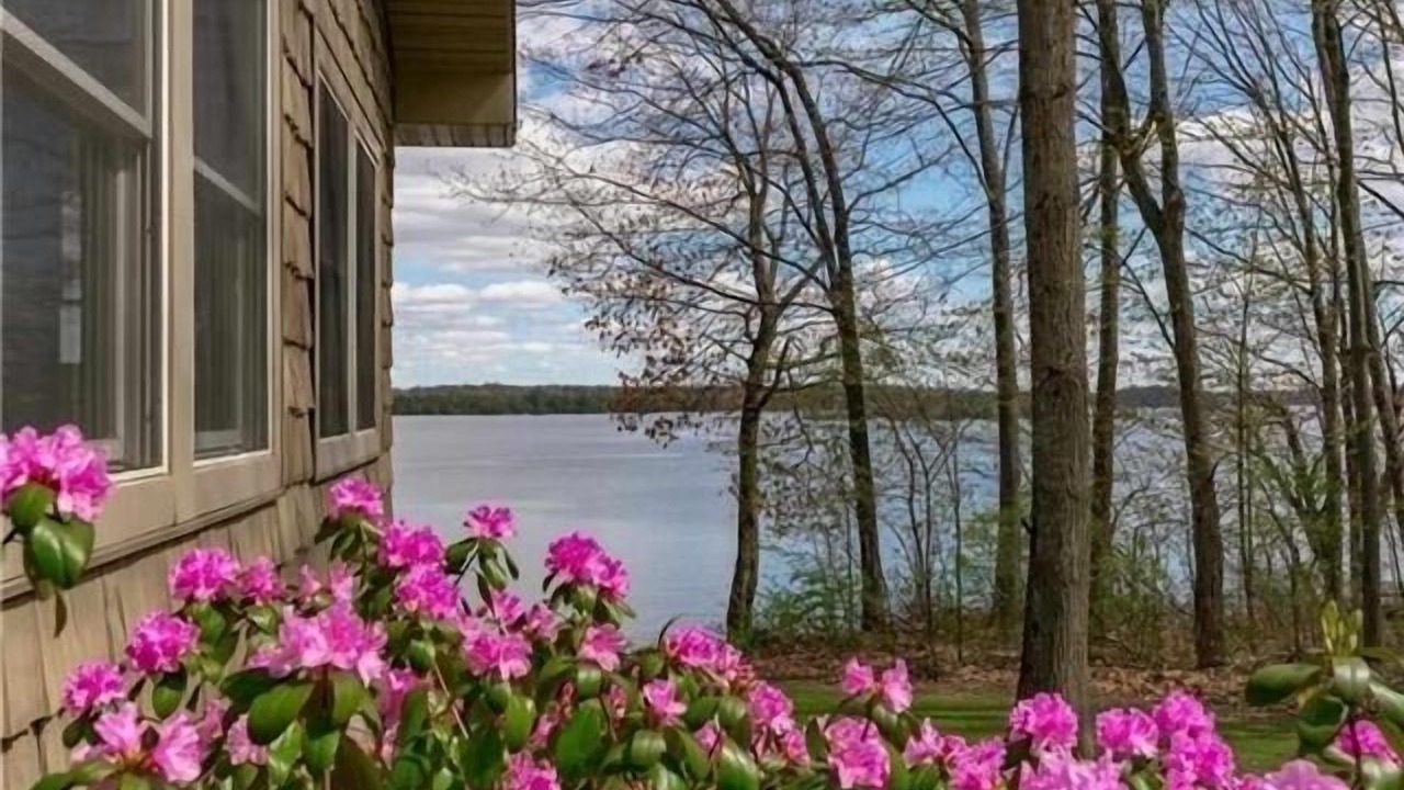 Photo of Outdoor in Brier Hill