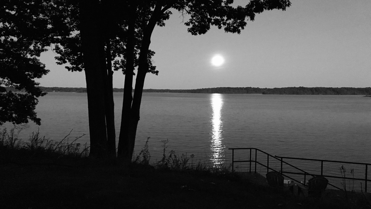 Photo of Others in Brier Hill