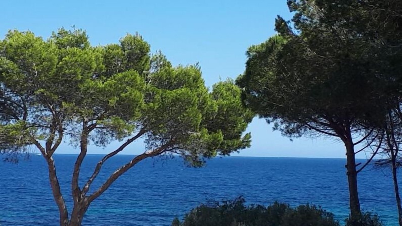 Photo of Outdoor in L'Ametlla de Mar