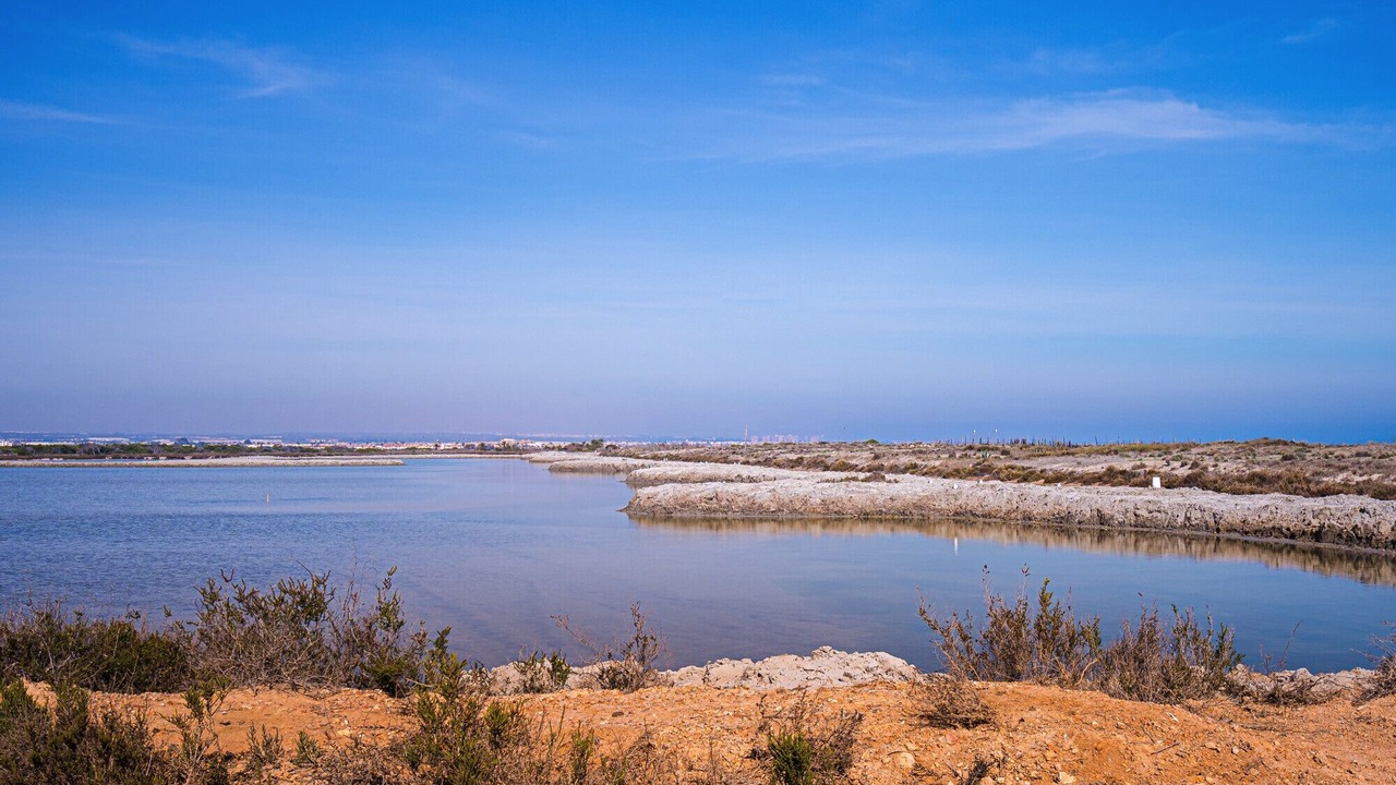 Photo of Others in Guardamar del Segura