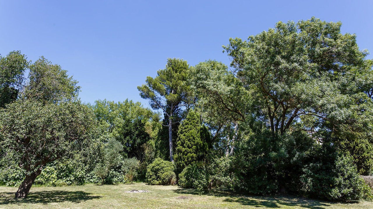 Photo of Outdoor in Canet