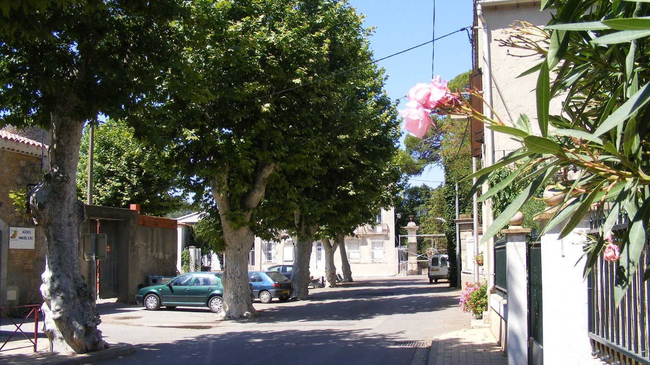 Photo of Outdoor in Canet