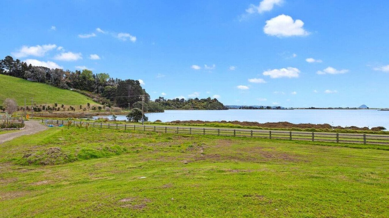 Photo of Others in Waiotahi