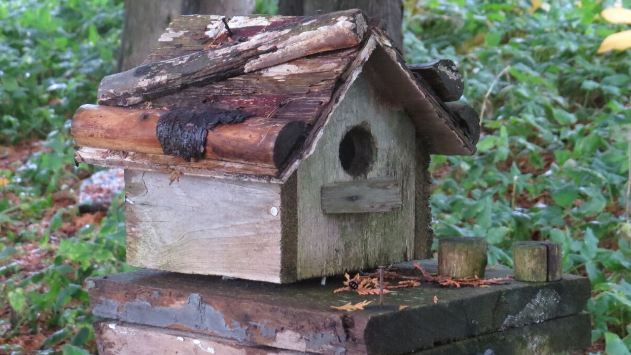 Photo of Outdoor in Grey Highlands