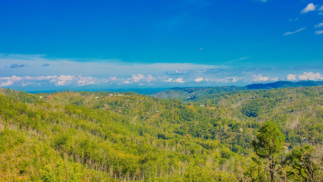 Photo of Others in Chalet Village North