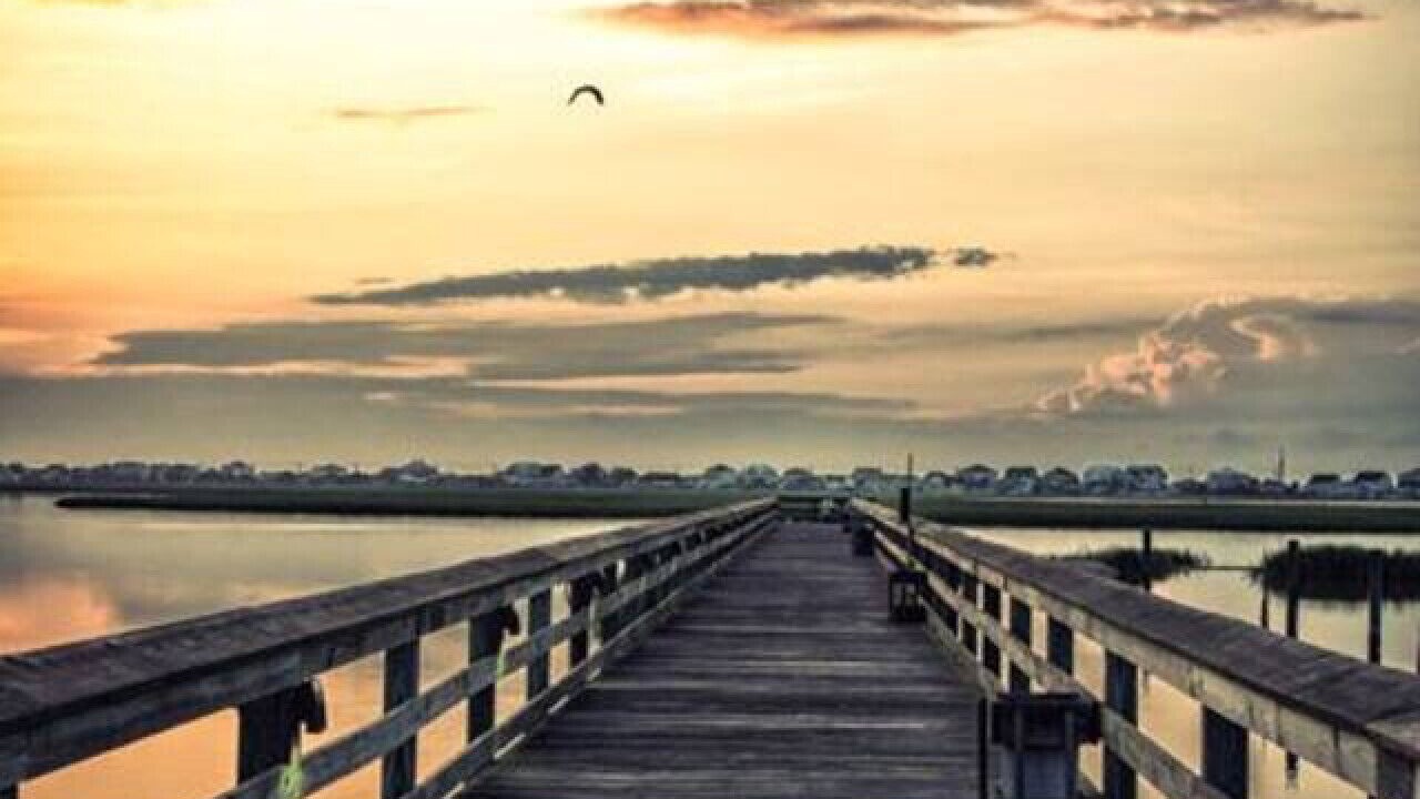 Photo of Others in Murrells Inlet