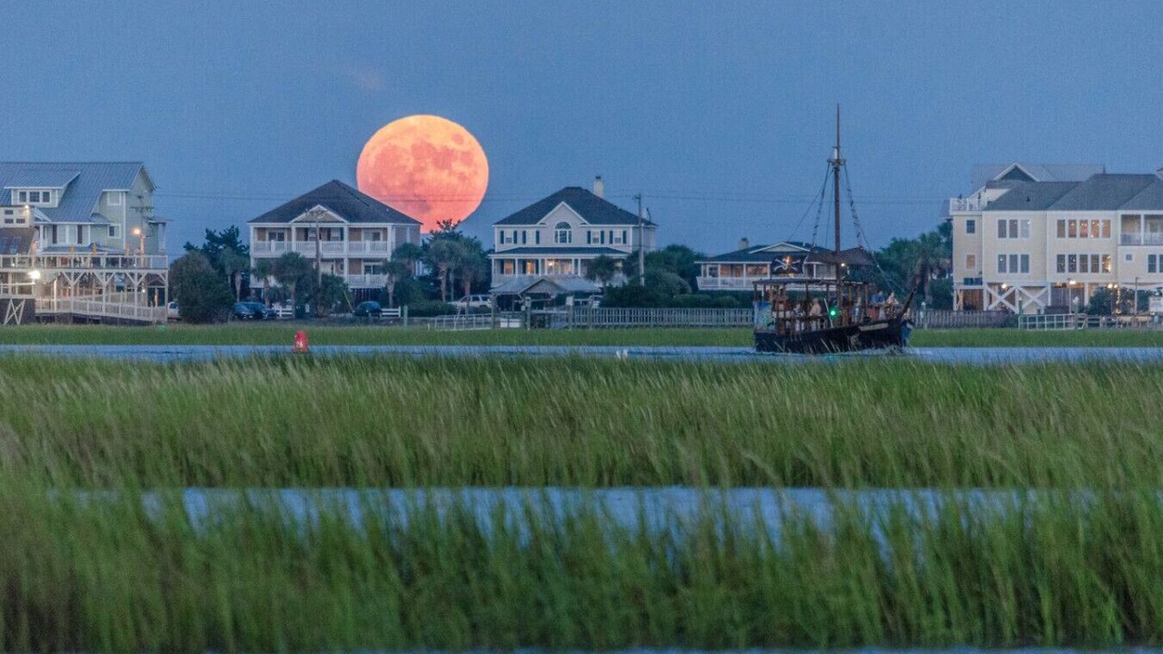 Photo of Others in Murrells Inlet