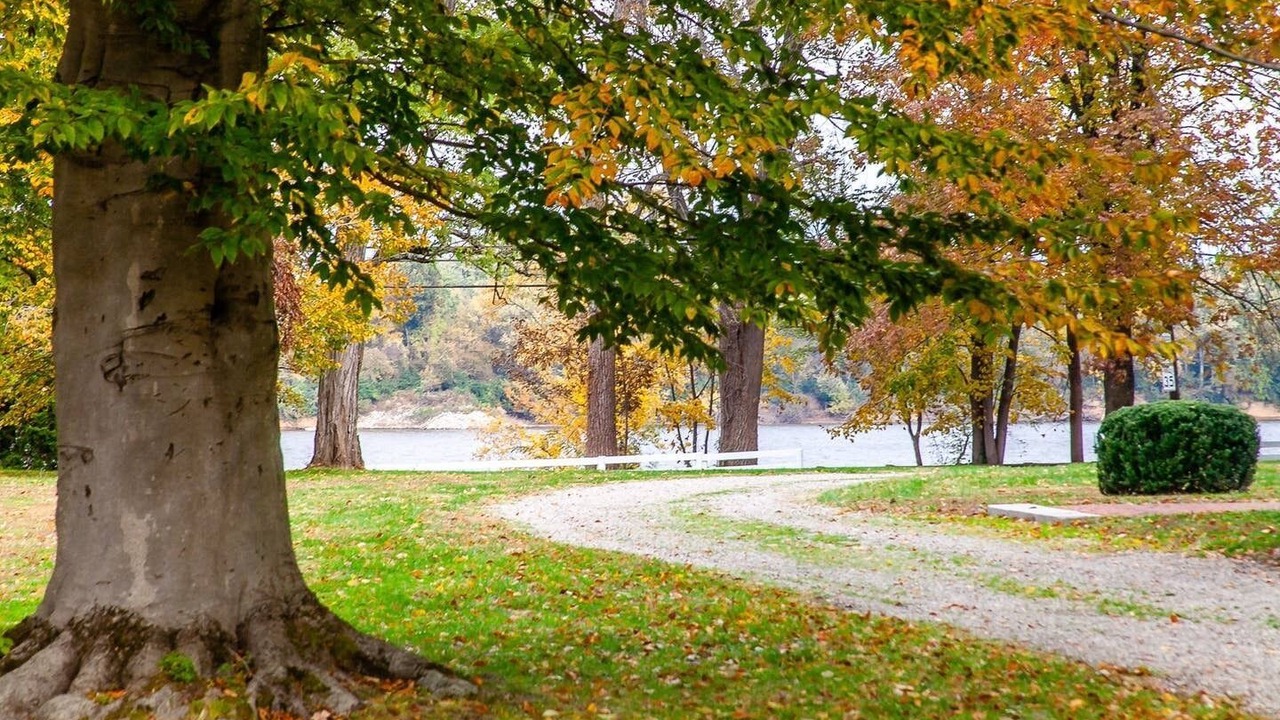 Photo of Outdoor in Glenview