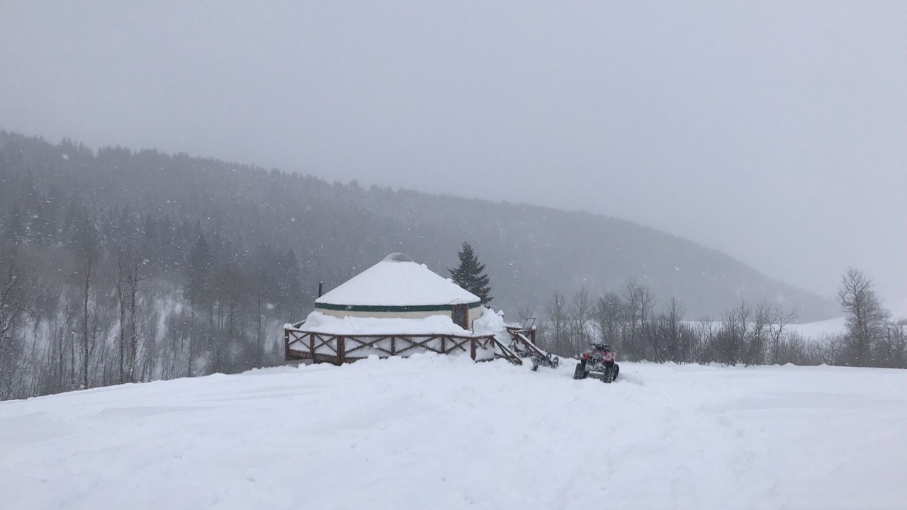 Photo of Others in Corral